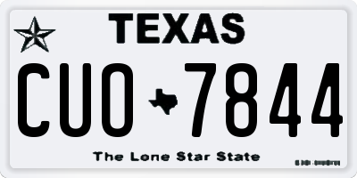 TX license plate CUO7844