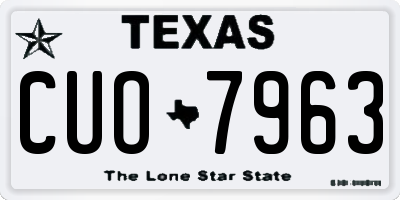 TX license plate CUO7963
