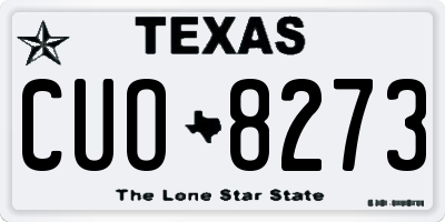 TX license plate CUO8273