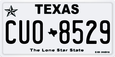 TX license plate CUO8529