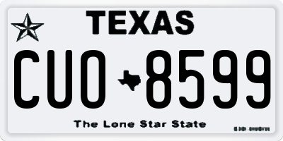 TX license plate CUO8599