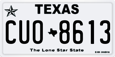 TX license plate CUO8613