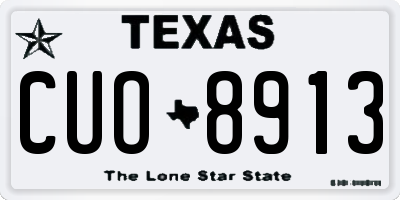 TX license plate CUO8913