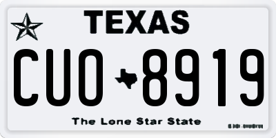 TX license plate CUO8919