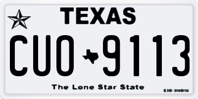 TX license plate CUO9113