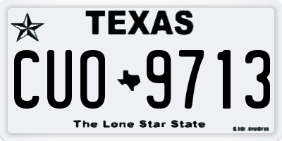 TX license plate CUO9713