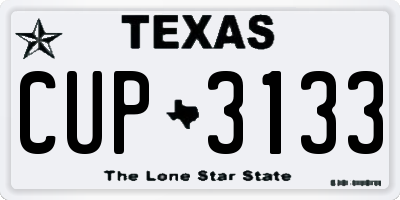 TX license plate CUP3133