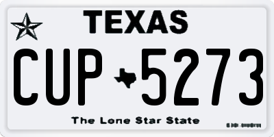 TX license plate CUP5273