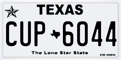 TX license plate CUP6044