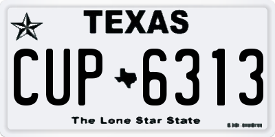 TX license plate CUP6313