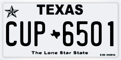 TX license plate CUP6501