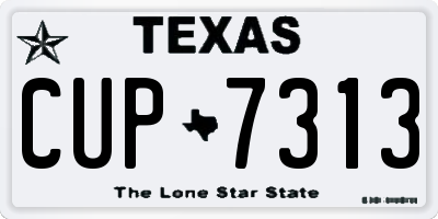 TX license plate CUP7313