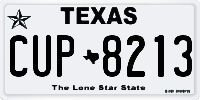 TX license plate CUP8213