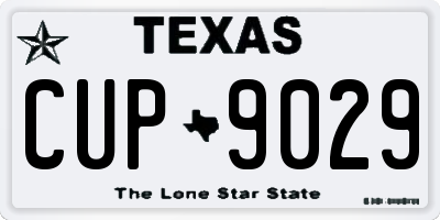 TX license plate CUP9029