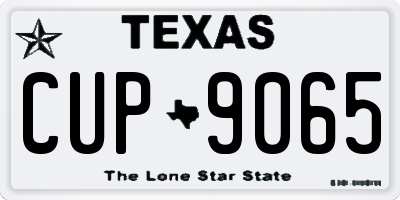 TX license plate CUP9065