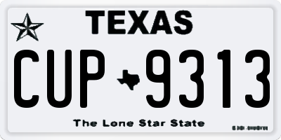 TX license plate CUP9313