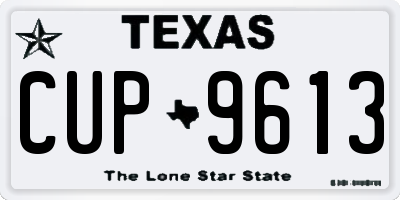 TX license plate CUP9613
