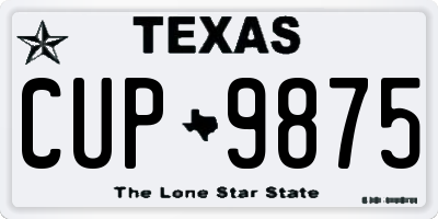 TX license plate CUP9875
