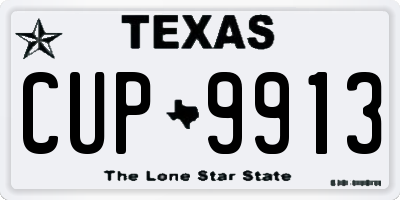 TX license plate CUP9913