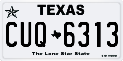 TX license plate CUQ6313