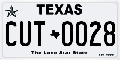 TX license plate CUT0028