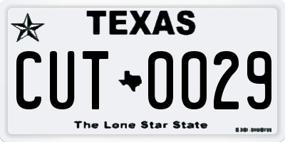 TX license plate CUT0029