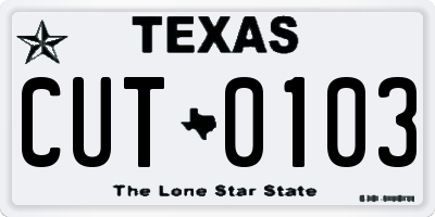 TX license plate CUT0103