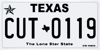 TX license plate CUT0119