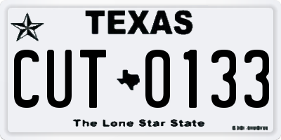 TX license plate CUT0133