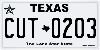 TX license plate CUT0203