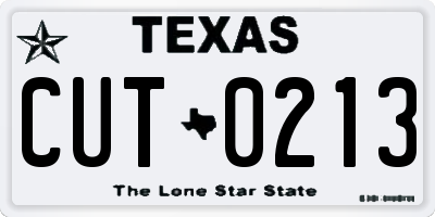 TX license plate CUT0213
