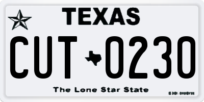 TX license plate CUT0230