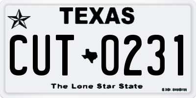 TX license plate CUT0231