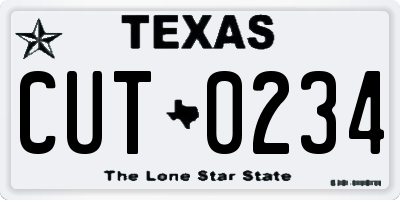 TX license plate CUT0234