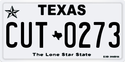 TX license plate CUT0273