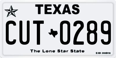 TX license plate CUT0289