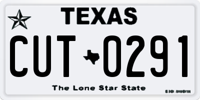 TX license plate CUT0291