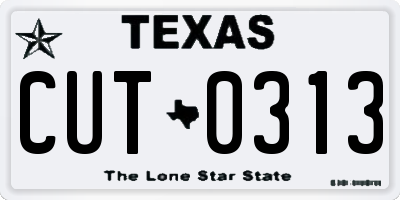TX license plate CUT0313