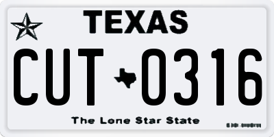 TX license plate CUT0316