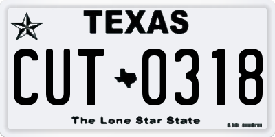TX license plate CUT0318