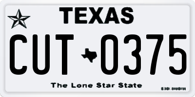 TX license plate CUT0375