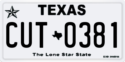 TX license plate CUT0381