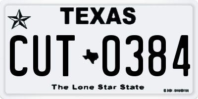 TX license plate CUT0384