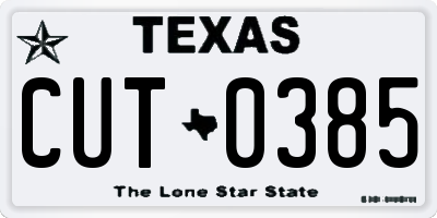 TX license plate CUT0385