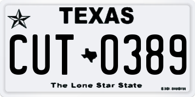 TX license plate CUT0389