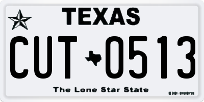 TX license plate CUT0513