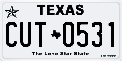 TX license plate CUT0531