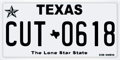 TX license plate CUT0618