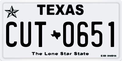 TX license plate CUT0651