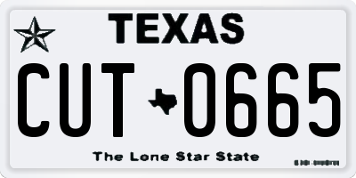TX license plate CUT0665